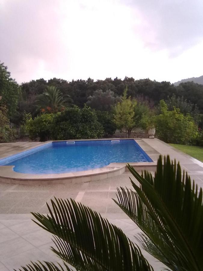 Villa Milagro - 3 Bedroom Finca Style Villa With Pool Near Golf Course/Beaches - Air Cond. Польєнса Екстер'єр фото