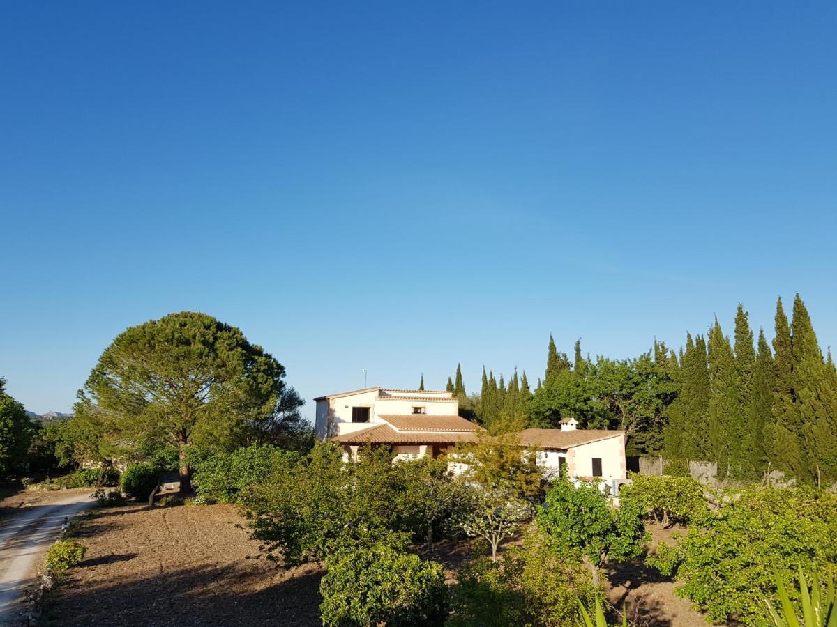 Villa Milagro - 3 Bedroom Finca Style Villa With Pool Near Golf Course/Beaches - Air Cond. Польєнса Екстер'єр фото