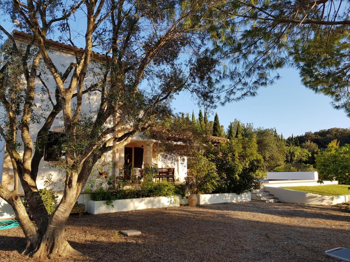 Villa Milagro - 3 Bedroom Finca Style Villa With Pool Near Golf Course/Beaches - Air Cond. Польєнса Екстер'єр фото